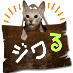 kitten stickers slang 3