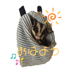 hana_20190731203938