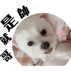 我叫酷幾有個弟弟叫迪迪