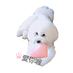 貝貝比熊2