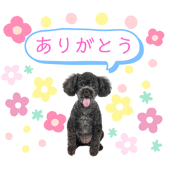 RIRI_20190801015947