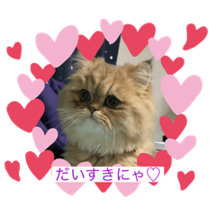 shizu_20190801103325