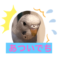 Pon_20190801142110