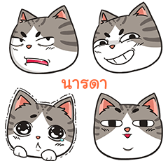 NARADA trollcat emoji