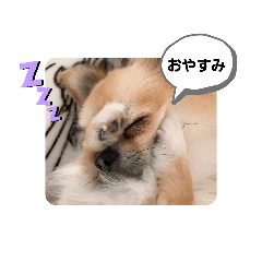 baby_20190801153734
