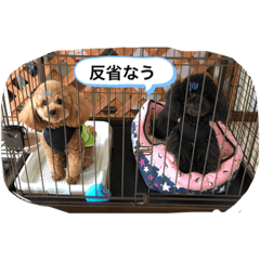 yukari_20190801163314