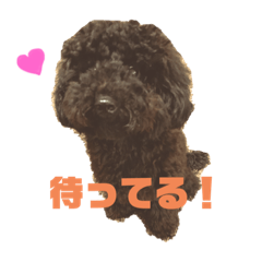 Ponzu_20190801195402