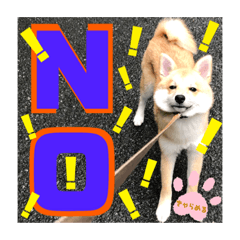 JUN_20190801205058