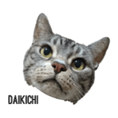 Cute cat's "Daikichi" stickers