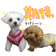 rii_20190801223456