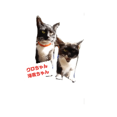 sakai_20190801093138
