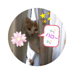 chi_20190801172243