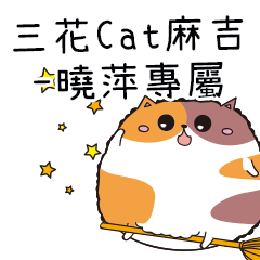 Tortoiseshell Cat-Xiaoping exclusive