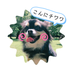 naka_20190801192141