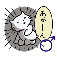 The lazy white cat02