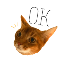 natsumi_20190802000245