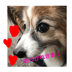 kanako_20190731100811