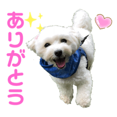 Ace_20190722100808
