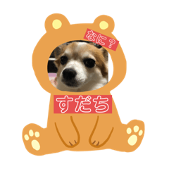 Aoi_2019080210173