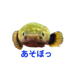 Chiharu_20190730000556