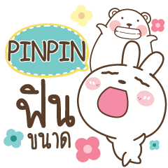 PINPIN Bear and Rabbit joker_N e