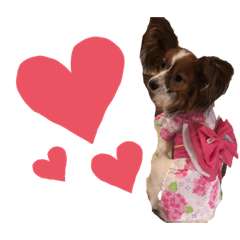 yukiko_20190802033115