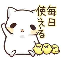 Talk with fat white Cat -Every Day-