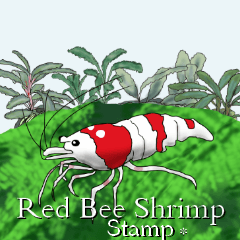 Red Bee Shrimp Sticker