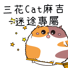 三花CAT麻吉貓-專屬迷途篇