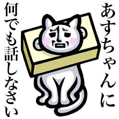 Stray cat!! Asuchan