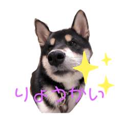 akiko_20190731234122