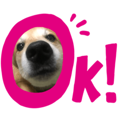 koko's_stamp
