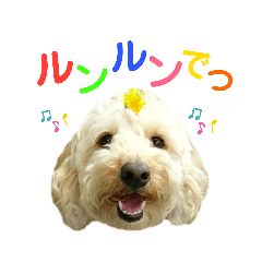 akari_20190802201115