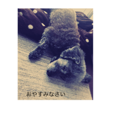 jun_20190802202324