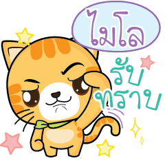 MILO Sesa Pussycat.