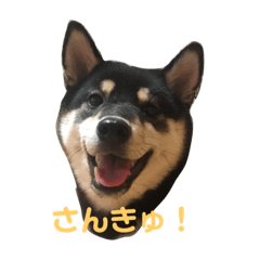 hana_20190802233437