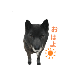 CHERRY is my friend.