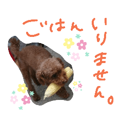 Minami_20190803000019