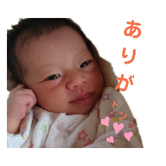 nozomi_20190802114844