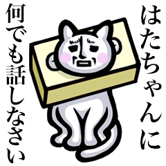 Stray cat!! Hatachan