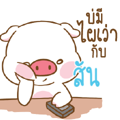 สัน หมูอ้วนตัวกลม_E