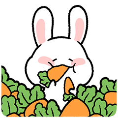 Myom-Myom bunny 2