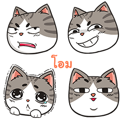 OAM trollcat emoji – Stickers LINE | LINE STORE