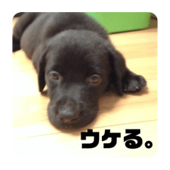 akane_20190803021108