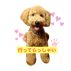 yk_20190803052900