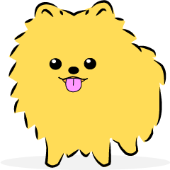 Cute Pomeranian Mr.Pon