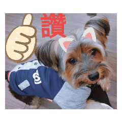 Q比萱言