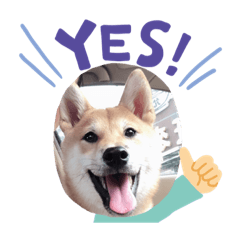 Sally_20190803104514