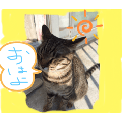 risa_20190803121632