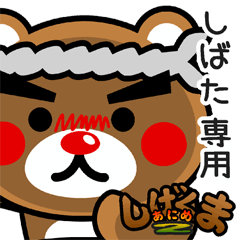 "SHIGE-KUMA2" sticker for "SHIBATA"